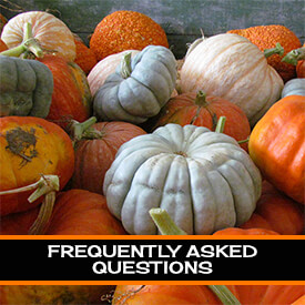 275-FAQ